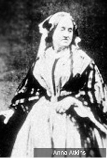 Anna Atkins